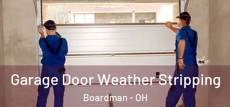  Garage Door Weather Stripping Boardman - OH