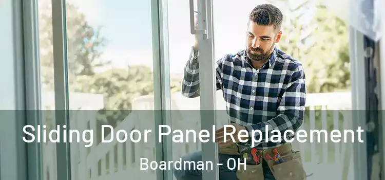  Sliding Door Panel Replacement Boardman - OH